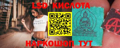 гашик Гусев