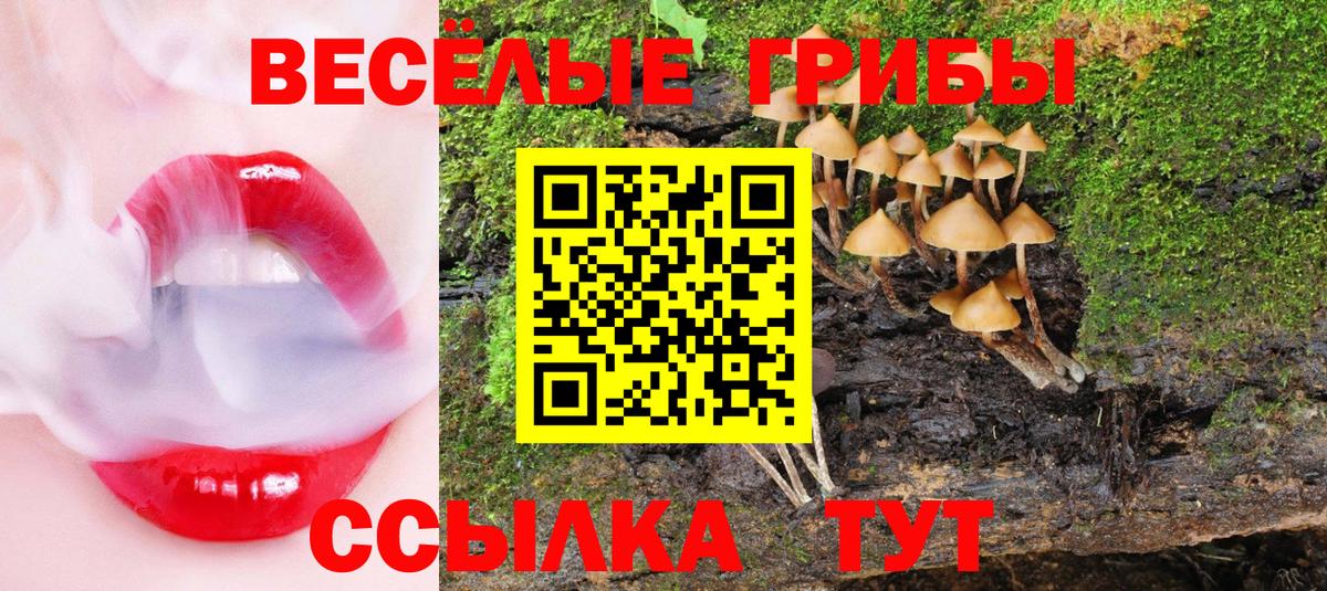 Псилоцибиновые грибы ЛСД  Вход с VPN  Дальнереченск 